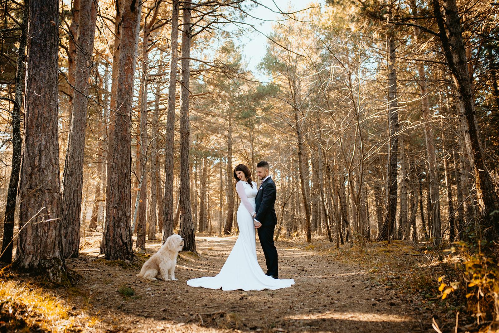 postboda preboda moncayo zaragoza huesca teruel aragon natural sesion fotos pareja novios bodas veronica rodriguez fotografia
